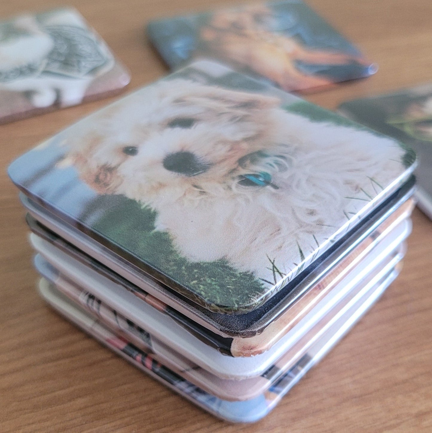 2x2 Photo Magnets - Set of 6